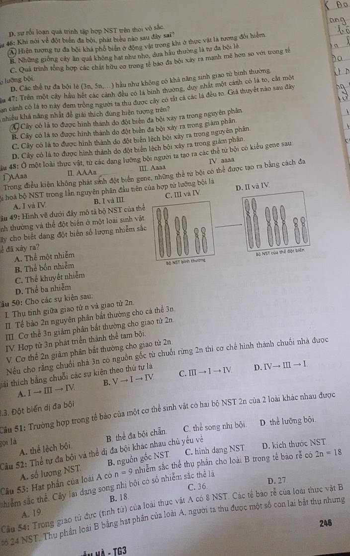 D. sự rối loạn quá trình tập hợp NST trên thoi vô sắc.
Ha 46: Khi nói về đột biển đa bội, phát biểu nào sau đây sai?
A Hiện tương tự đã bội khá phổ biến ở động vật trong khi ở thực vật là tương đổi hiểm.
B. Những giống cây ăn quả không hạt như nho, dưa hầu thường là tự đa bội lẻ
C. Quả trình tổng hợp các chất hữu cơ trong tế báo đã bội xây ra mạnh mẽ hơn so với trong tế
lưỡng bội
D. Các thể tự đa bội lê (3n, 5n,. ) hầu như không có khả năng sinh giao từ binh thường
ău 47: Trên một cây hầu hết các cảnh đều có lá binh thường, duy nhất một cảnh có là to, cắt một
San cảnh có lá to này đem trồng người ta thu được cây có tất cả các là đều to. Giả thuyết nào sau đây
nhiều khả năng nhất đề giải thích đùng hiện tượng trên?
X Cây có là to được hình thành do đột biển đa bội xây ra trong nguyên phân
B. Cây có lá to được hình thành do đột biển đa bội xảy ra trong giám phân
C. Cây có là to được hình thành do đột biển lệch bội xảy ra trong nguyên phân
D. Cây có lá to được hình thành do đột biến lệch bội xây ra trong giảm phản
ầu 48: Ở một loài thực vật, từ các dang lưỡng bội người ta tạo ra các thể tử bội có kiểu gene sau
1AAaa II. AAAa III. Aaaa IV.aaaa
Trong điều kiện không phát sinh đột biển gene, những thể tử bội có thể được tạo ra bằng cách đa
ộ hoá bộ NST trong lần nguyên phân đầu tiên tử lưỡng bội là D. II và IV
A. I và IV B. I và III
đầu 49: Hình vẽ dưới đây mô tả bộ NST của t
inh thường và thể đột biển ở một loài sinh vậ
Cây cho biết dang đột biển số lượng nhiễm s
ề đã xây ra?
A. Thể một nhiễm
C. Thể khuyết nhiễm
B. Thể bốn nhiễm
D. Thể ba nhiễm
Sâu 50: Cho các sự kiện sau:
L Thụ tinh giữa giao tử n và giao tử 2n.
II. Tế bảo 2n nguyên phân bắt thường cho cá thể 3n.
III. Cơ thể 3n giảm phân bất thường cho giao tử 2n.
IV Hợp tử 3n phát triển thành thể tam bội.
V. Cơ thể 2n giảm phân bất thường cho giao tử 2n.
Nếu cho rằng chuối nhà 3n có nguồn gốc từ chuối rừng 2n thi cơ chế hình thành chuối nhà được
C.
tải thích bằng chuỗi các sự kiện theo thứ tự là
A. Ito IIIto IV B. Vto Ito IV IIIto Ito IV
D. IVto IIIto I
1.3. Đột biến dị đa bội Sầu 51: Trường hợp trong tể bảo của một cơ thể sinh vật có hai bộ NST 2n của 2 loài khác nhau được
A. thể lệch bội B. thể đa bội chẵn C. thể song nhị bội D. thể lưỡng bội
gọi là
Cầu 52: Thể tự đa bội và thể dị đa bội khác nhau chủ yếu về
A. số lượng NST B. nguồn gốc NST C. hinh dạng NST D. kích thước NST
Cầâu 53: Hạt phần của loài A có n=9 nhiễm sắc thể thụ phần cho loài B trong tế bào rễ có 2n=18
C. 36 D. 27
hiểm sắc thể. Cây lai dạng song nhị bội có số nhiễm sắc thể là
B. 18
Cầu 54: Trong giao tử đực (tinh tử) của loài thực vật A có 8 NST. Các tế bào rễ của loài thực vật B
A. 19
2ó 24 NST. Thụ phần loài B bằng hạt phân của loài A. người ta thu được một số con lai bắt thụ nhưng
246
Mễn mà - TG3