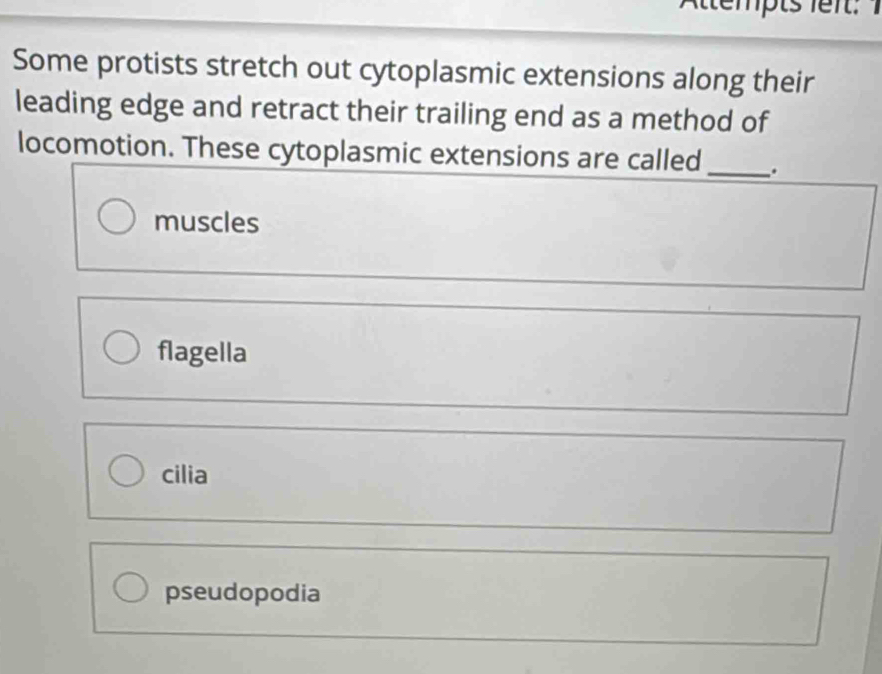 Some protists stretch out cytoplasmic extensions along their
leading edge and retract their trailing end as a method of
locomotion. These cytoplasmic extensions are called_ .
muscles
flagella
cilia
pseudopodia