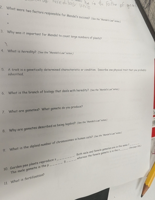 What were two factors responsible for Mendel's success? (See the "Mende!'s Laaw" nobes.] 
3. Why was it important for Mendel to count large numbers of plants? 
4. What is heredity? (See the "Mendel's Law" nates.) 
5. A trait is a genetically determined characteristic or condition. Describe one physical trait that you probably 
inherited. 
6. What is the branch of biology that deals with heredity? (See the "Mende's Law" notes.) 
7. What are gametes? What gamete do you produce? 
8. Why are gametes described as being haploid? (See the "Mendel's Law" notes.) 
9. What is the diploid number of chromosomes in human cells? (See the "Mende's Law" notes.)__ 
Both male and female gametes are in the same f 
10. Garden pea plants reproduce s __ whereas the female gamete is in the o (Sen pago 286) 
The male gamete is the p g 
11. What is fertilization?