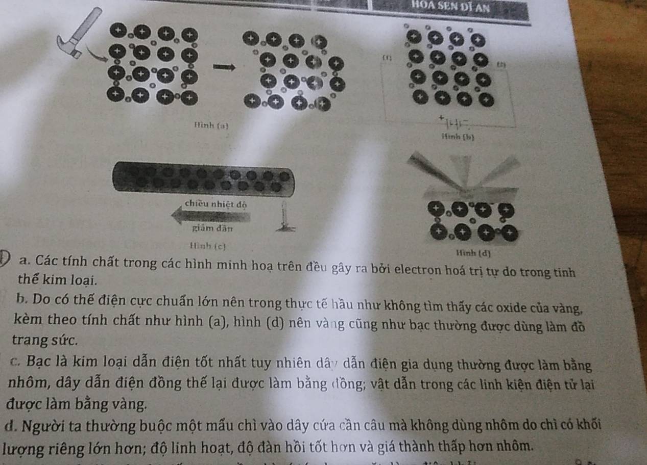 HOA SEN DI AN
Hình (a)
iình (b)
chiều nhiệt độ
giám dān
Hình (c)
a. Các tính chất trong các hình minh hoạ trên đều gây ra bởi electron hoá trị tự do trong tinh
thể kim loại.
b. Do có thế điện cực chuấn lớn nên trong thực tế hầu như không tìm thấy các oxide của vàng,
kèm theo tính chất như hình (a), hình (d) nên vàng cũng như bạc thường được dùng làm đồ
trang sức.
c. Bạc là kim loại dẫn điện tốt nhất tuy nhiên dây dẫn điện gia dụng thường được làm bằng
nhôm, dây dẫn điện đồng thế lại được làm bằng đồng; vật dẫn trong các linh kiện điện tử lại
được làm bằng vàng.
d. Người ta thường buộc một mấu chì vào dây cứa cần câu mà không dùng nhôm do chì có khối
lượng riêng lớn hơn; độ linh hoạt, độ đàn hồi tốt hơn và giá thành thấp hơn nhôm.