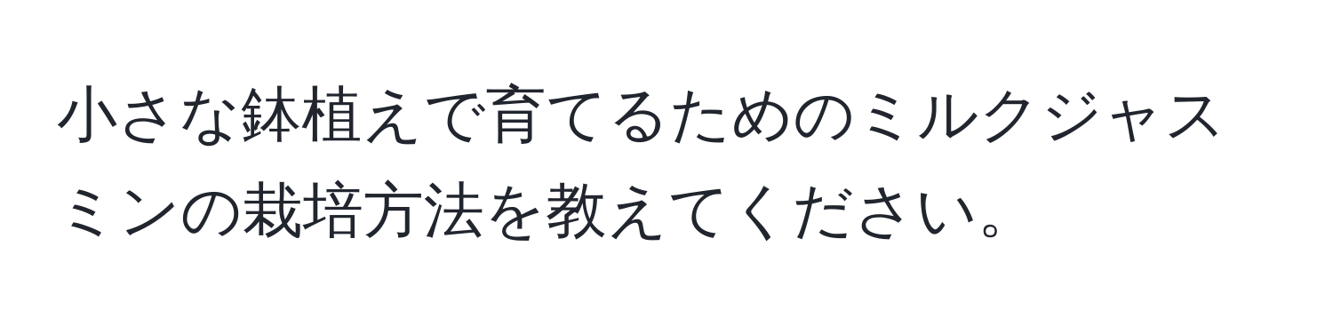 小さな鉢植えで育てるためのミルクジャスミンの栽培方法を教えてください。