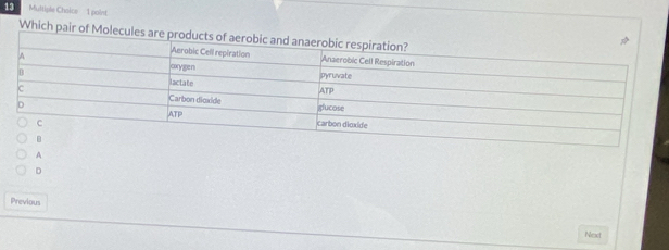 Multiple Chaice 1 point
Which pair of
A
D
Previous
Next