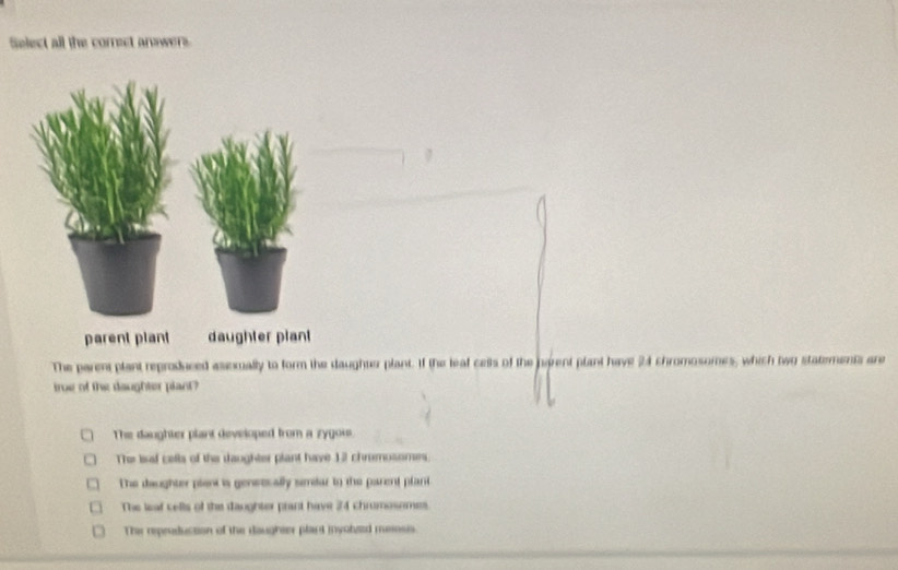 Select all the comect answers
parent plant
The parent plant reproduced asemually to form the daughter plant. If the leaf cets of the parent plant have 24 chromosomes, which two statements are
irue of the daughter plant?
The daughter plant developed from a zygou
The leal cells of the daughter plant have 12 chromosomes
The daughter plent is genetsally smdar to the parent plant
The leaf cells of the daughter prant have 24 chrumosomes
The repreduction of the daughter plart inyolsed meoss.