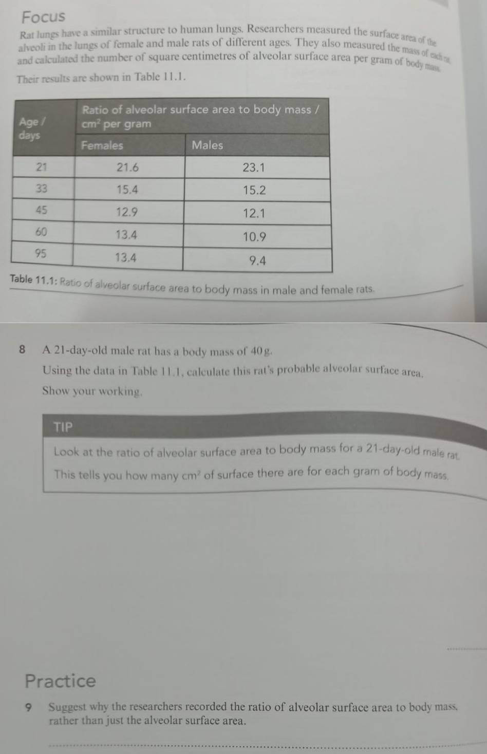 Focus
Rat lungs have a similar structure to human lungs. Researchers measured the surface area of the
alveoli in the lungs of female and male rats of different ages. They also measured the mass of each n
and calculated the number of square centimetres of alveolar surface area per gram of body mass
Their results are shown in Table 11.1.
Ratio of alveolar surface area to body mass in male and female rats.
8 A 21-day-old male rat has a body mass of 40g.
Using the data in Table 11.1, calculate this rat’s probable alveolar surface area.
Show your working.
TIP
Look at the ratio of alveolar surface area to body mass for a 21-day-old male rat
This tells you how many cm^2 of surface there are for each gram of body mass.
_
Practice
9 Suggest why the researchers recorded the ratio of alveolar surface area to body mass.
rather than just the alveolar surface area.
_