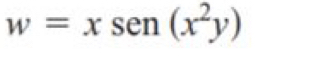 w=xsen (x^2y)