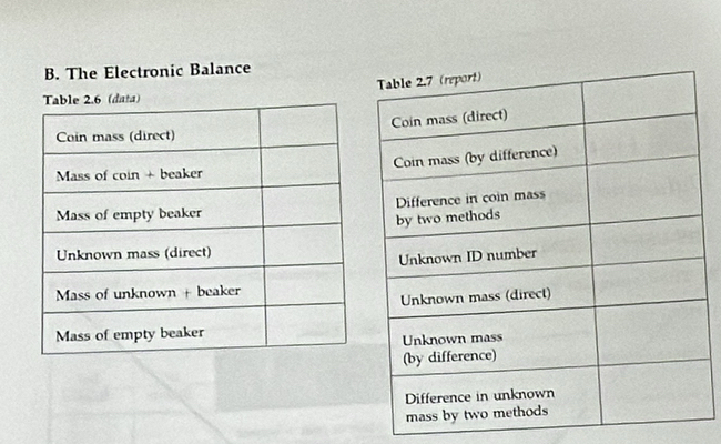 The Electronic Balance