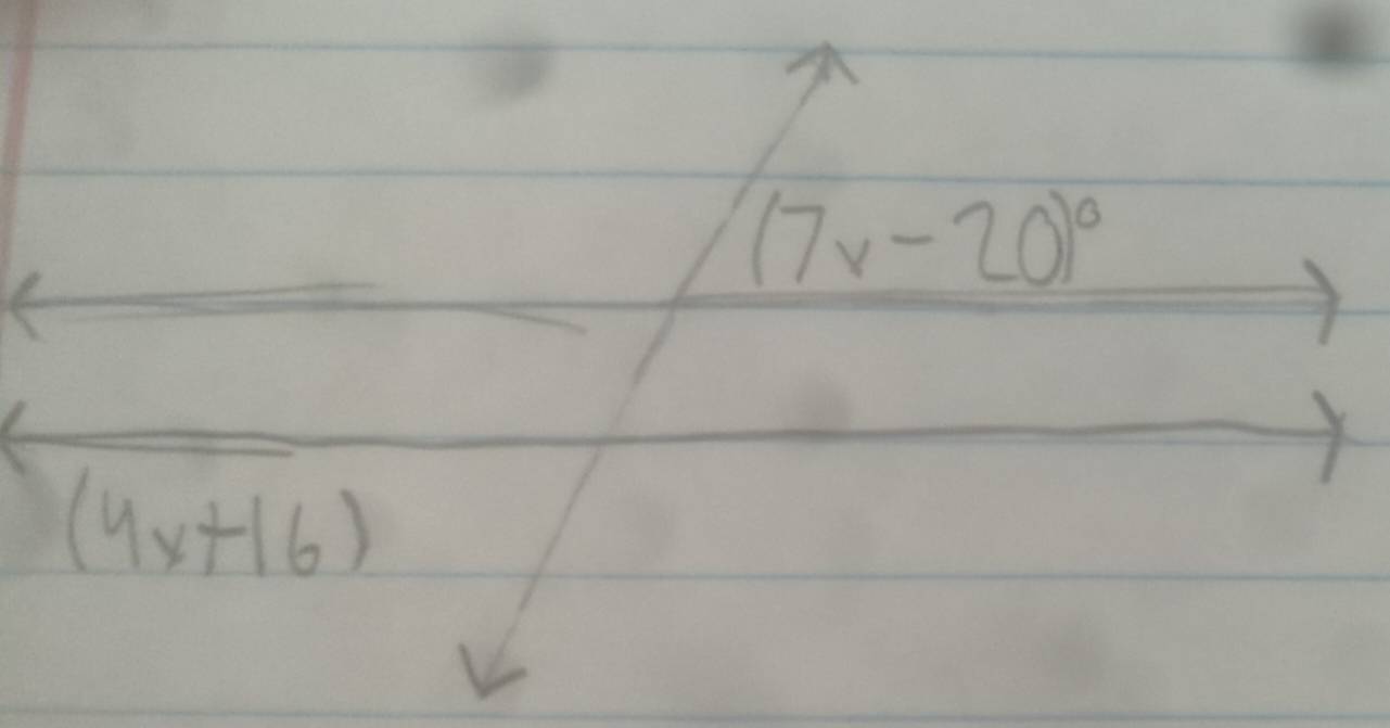 (7x-20)^circ 
(4x+16)