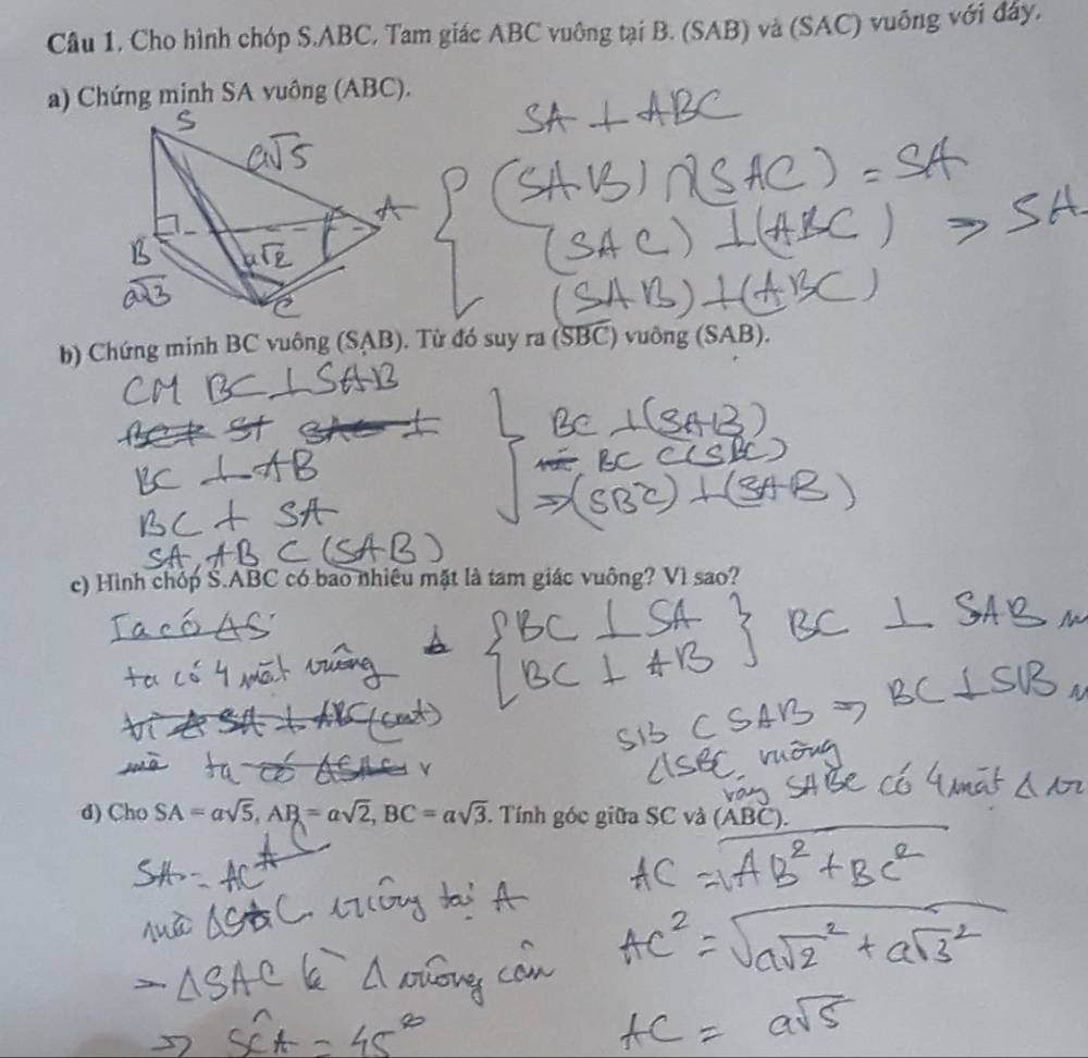 Cầu 1. Cho hình chóp S. ABC. Tam giác ABC vuông tại B. (SAB) và (SAC) vuông với đây. 
a) Chứng minh SA vuông (ABC). 
b) Chứng minh BC vuông ( SAB 0. Từ đó suy ra (SBC) vuỡng (SAB). 
c) Hình chóp Š. ABC có bao nhiêu mặt là tam giác vuông? Vì sao? 
d) Cho SA=asqrt(5), AB=asqrt(2), BC=asqrt(3) Tính góc giữa SC và (ABČ).