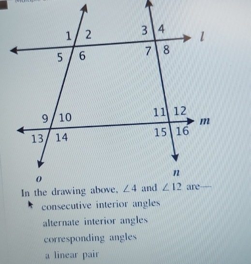 consecutive interior angles
alternate interior angles
corresponding angles
a linear pair