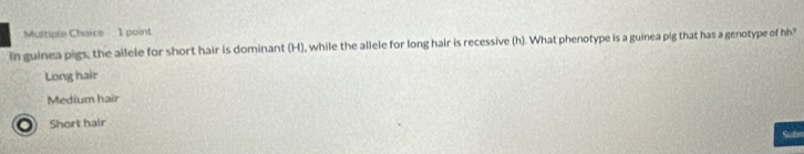 Multiple Chaice 1 point
In guinea pigs, the ailele for short hair is dominant (H), while the allele for long hair is recessive (h). What phenotype is a guinea pig that has a genotype of hh?
Long hair
Medium hair
Short hair