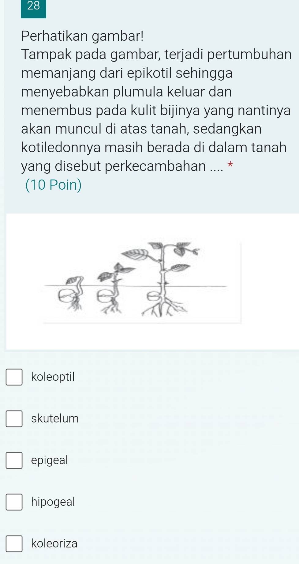 Perhatikan gambar!
Tampak pada gambar, terjadi pertumbuhan
memanjang dari epikotil sehingga
menyebabkan plumula keluar dan
menembus pada kulit bijinya yang nantinya
akan muncul di atas tanah, sedangkan
kotiledonnya masih berada di dalam tanah
yang disebut perkecambahan .... *
(10 Poin)
koleoptil
skutelum
epigeal
hipogeal
koleoriza