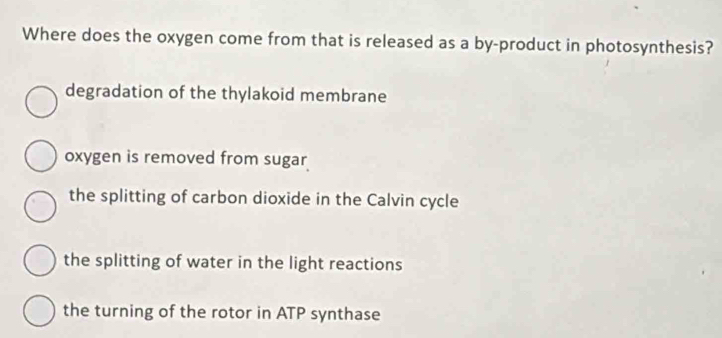 Where does the oxygen come from that is released as a by-product in photosynthesis?
degradation of the thylakoid membrane
oxygen is removed from sugar
the splitting of carbon dioxide in the Calvin cycle
the splitting of water in the light reactions
the turning of the rotor in ATP synthase