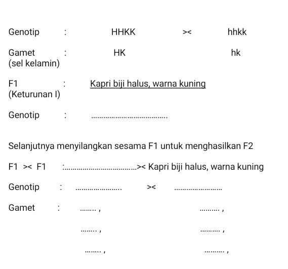 Genotip : HHKK >< hhkk 
Gamet : HK hk 
(sel kelamin) 
F1 : Kapri biji halus, warna kuning 
(Keturunan I) 
Genotip :_ 
Selanjutnya menyilangkan sesama  F1 untuk menghasilkan F2
F1> _.>< Kapri biji halus, warna kuning 
Genotip : _>