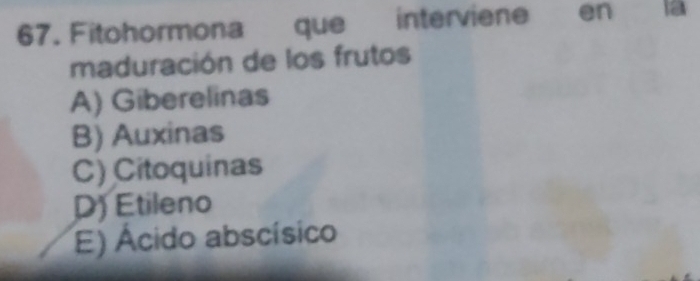 Fitohormona que interviene en là
maduración de los frutos
A) Giberelinas
B) Auxinas
C) Citoquinas
D) Etileno
E) Ácido abscísico