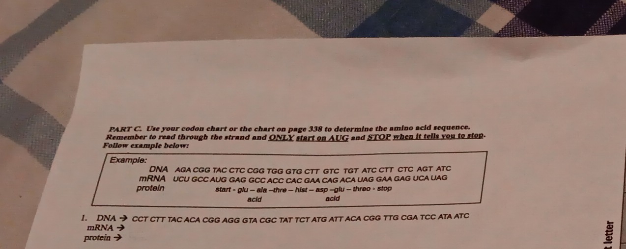 Use your codon chart or the chart on page 338 to determine the amino acid sequence. 
Remember to read through the strand and ONLY start on AUG and STOP when it tells you to stop. 
Follow example below: 
Example: 
DNA AGA CGG TAC CTC CGG TGG GTG CTT GTC TGT ATC CTT CTC AGT ATC 
MRNA UCU GCC AUG GAG GCC ACC CAC GAA CAG ACA UAG GAA GAG UCA UAG 
protein start - glu - ala -thre - hist -- asp -glu - threo - stop 
acid acid 
1. DNA → CCT CTT TAC ACA CGG AGG GTA CGC TAT TCT ATG ATT ACA CGG TTG CGA TCC ATA ATC 
mRNA 
protein