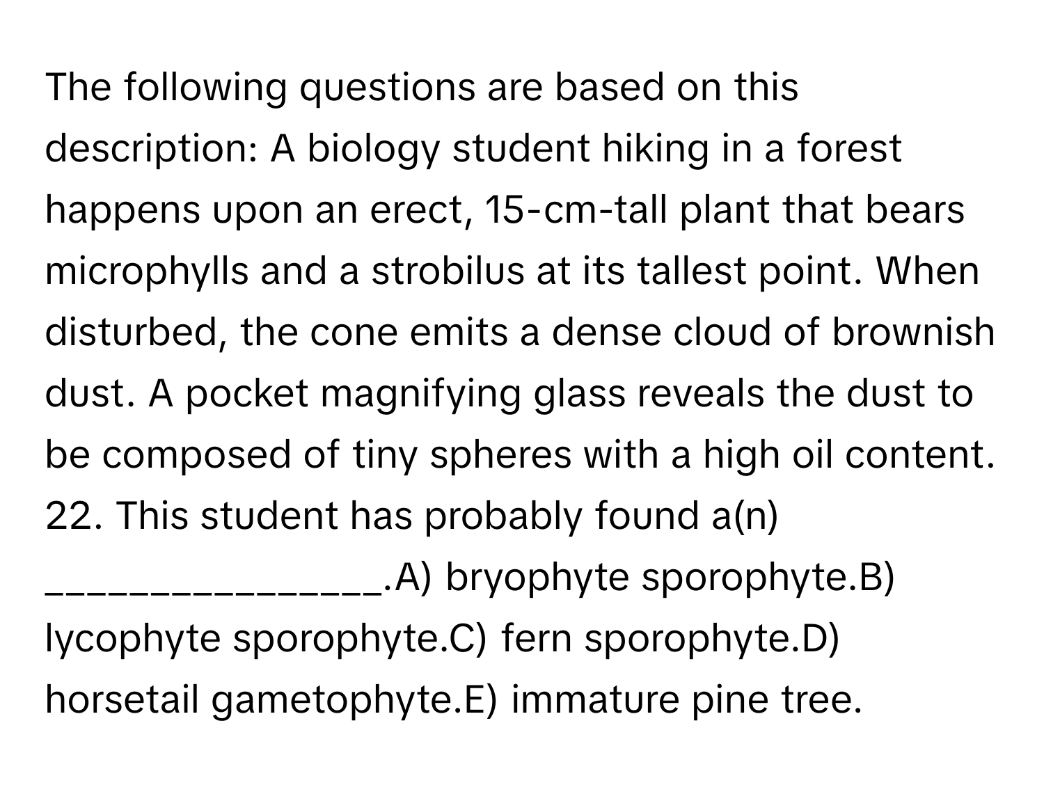 The following questions are based on this description: A biology student hiking in a forest happens upon an erect, 15-cm-tall plant that bears microphylls and a strobilus at its tallest point. When disturbed, the cone emits a dense cloud of brownish dust. A pocket magnifying glass reveals the dust to be composed of tiny spheres with a high oil content. 22. This student has probably found a(n) ________________.A) bryophyte sporophyte.B) lycophyte sporophyte.C) fern sporophyte.D) horsetail gametophyte.E) immature pine tree.