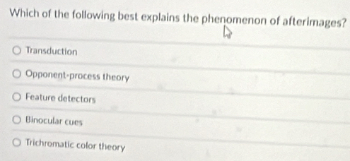 Which of the following best explains the phenomenon of afterimages?
Transduction
Opponent-process theory
Feature detectors
Binocular cues
Trichromatic color theory