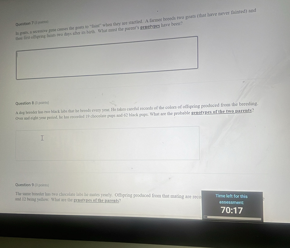 la goats, a recessive gene causes the goats to “faint” when they are startled. A farmer breeds two goats (that have never fainted) and 
Question 7 (3 poms) 
their first offspring faints two days after its birth. What must the parent's genotypes have been? 
Question 8 (3 points) 
A dog breeder has two black labs that he breeds every year. He takes careful records of the colors of offspring produced from the breeding. 
Over and eight year period, he has recorded 19 chocolate pups and 62 black pups. What are the probable genotypes of the two parents? 
Question 9 (3 points) 
The same breeder has two chocolate labs he mates yearly. Offspring produced from that mating are reco Time left for this 
and 12 being yellow. What are the genotypes of the parents? assessment:
70:17