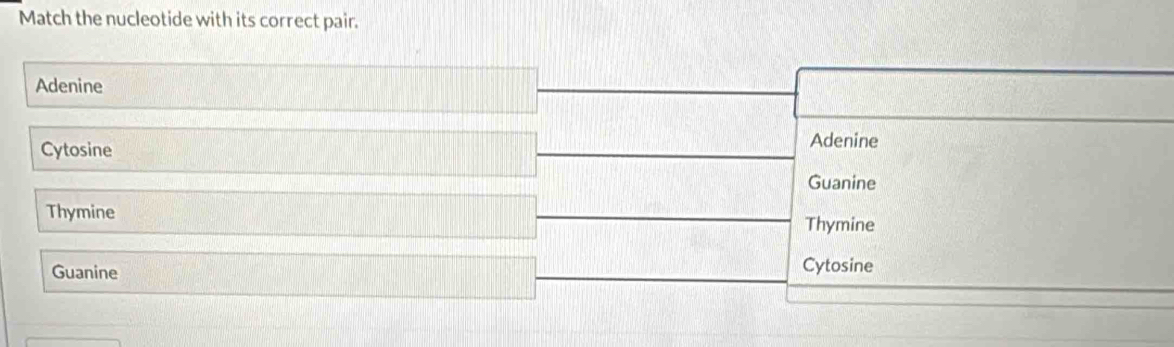 Match the nucleotide with its correct pair.
Adenine
Cytosine
Adenine
Guanine
Thymine
Thymine
Guanine
Cytosine