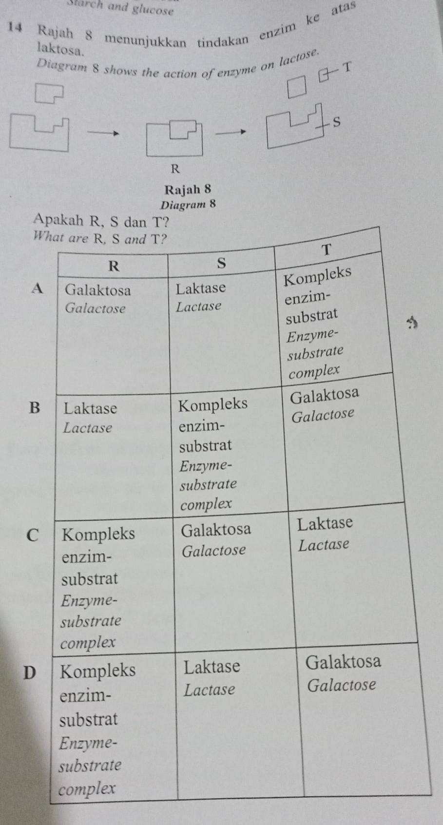 Slarch and glucose
14 Rajah 8 menunjukkan tindakan enzim ke atas
laktosa.
Diagram 8 shows the action of enzyme on lactose.
T
s
R
Rajah 8
Diagram 8
A
W
A
B
C
D