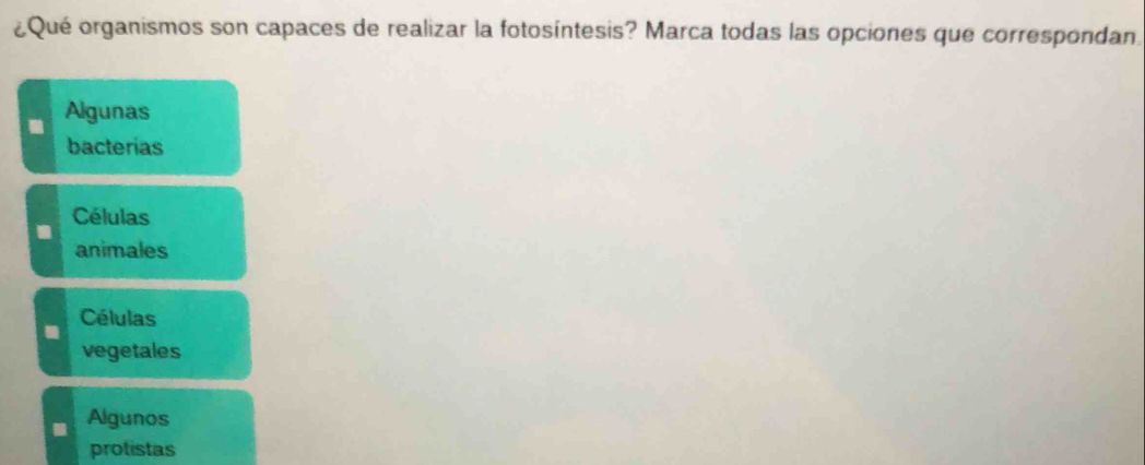 ¿Qué organismos son capaces de realizar la fotosíntesis? Marca todas las opciones que correspondan.
Algunas
bacterias
Células
animales
Células
vegetales
Algunos
protistas
