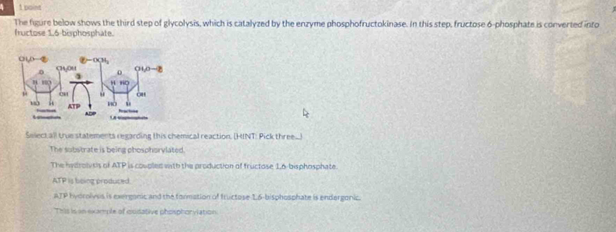 poine
The figure below shows the third step of glycolysis, which is catalyzed by the enzyme phosphofructokinase. In this step, fructose 6-phosphate is converted into
fructose 1.6-bisphosphate.
Selectall true statements regarding this chemical reaction. (HINT: Pick three...)
The substrate is being phosphorylated.
The hvdrolvsis of ATP is coupled with the production of fructose 1,6-bisphosphate.
ATP is being produced.
ATP hyorolyss is exergonic and the formation of tructose 16-bisphosphate is endergonic.
This is an example of exidative phosphorviation