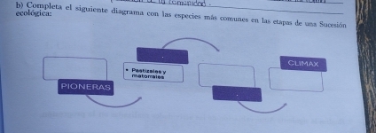 ecológica: b) Completa el siguiente diagrama con las especies más comunes en las etapas de una Sucesión 
CLIMAX 
matomales Psticales y 
PIONERAS