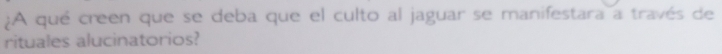 ¿A qué creen que se deba que el culto al jaguar se manifestara a través de 
rituales alucinatorios?