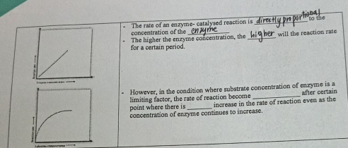 The rate of an enzyme- catalysed reaction is _to the 
concentration of the 
The higher the enzyme concentration, the_ will the reaction rate 
for a certain period. 
However, in the condition where substrate concentration of enzyme is a 
limiting factor, the rate of reaction become _after certain 
point where there is _increase in the rate of reaction even as the 
concentration of enzyme continues to increase.