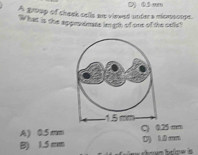 D) 0S mm
A group of cheek cells are viexed under a microscope.
What is the approximate length of one of the cells?
A) 0.5mm C) 0.25 mm
B) 1.5 mn D) 1.0 m
w shown below is