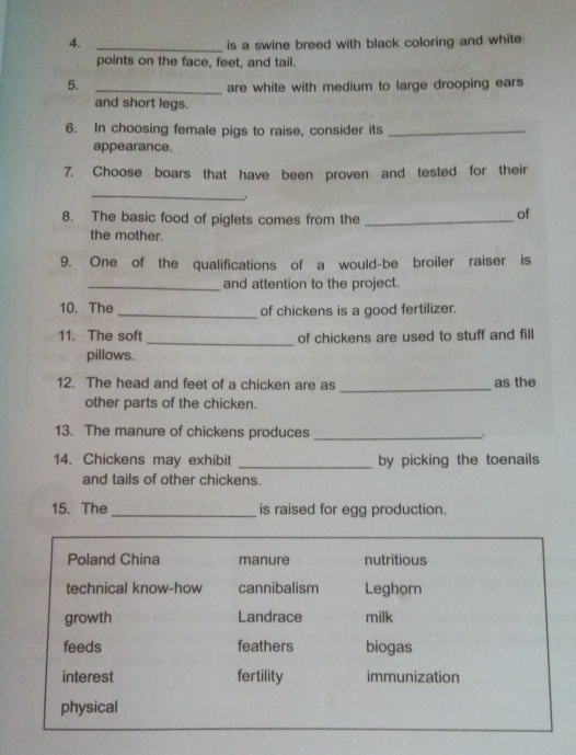is a swine breed with black coloring and white 
points on the face, feet, and tail. 
5. 
_ 
are white with medium to large drooping ears 
and short legs. 
6. In choosing female pigs to raise, consider its_ 
appearance. 
7. Choose boars that have been proven and tested for their 
_ 
8. The basic food of piglets comes from the_ 
of 
the mother. 
9. One of the qualifications of a would-be broiler raiser is 
_and attention to the project. 
10. The _of chickens is a good fertilizer. 
_ 
11. The soft of chickens are used to stuff and fill 
pillows. 
12. The head and feet of a chicken are as _as the 
other parts of the chicken. 
13. The manure of chickens produces_ 
14. Chickens may exhibit _by picking the toenails 
and tails of other chickens. 
15. The_ is raised for egg production.