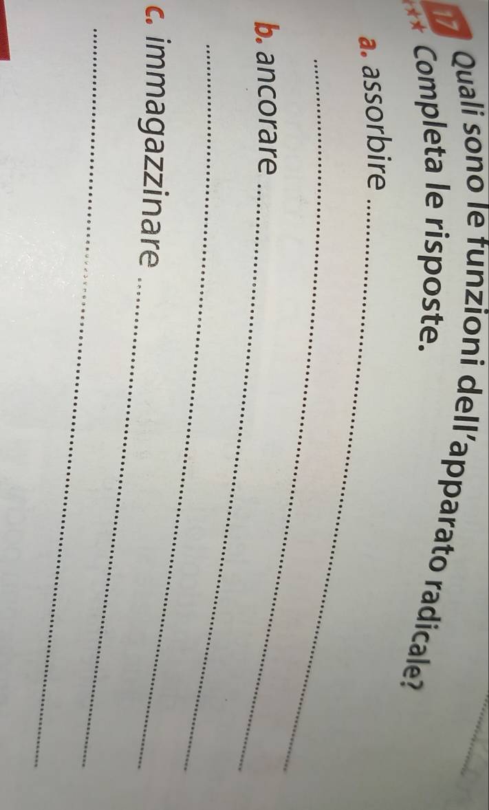 Quali sono le funzioni dell’apparato radicale? 
** Completa le risposte. 
a. assorbire_ 
_ 
b. ancorare_ 
_ 
_ 
c. immagazzinare 
_