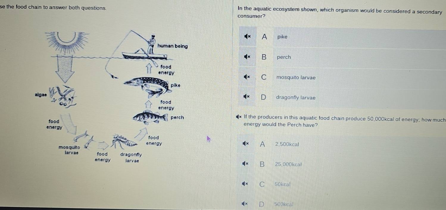 se the food chain to answer both questions . In the aquatic ecosystem shown, which organism would be considered a secondary
consumer?
A pike
B perch
C mosquito larvae
dragonfly larvae
If the producers in this aquatic food chain produce 50,000kcal of energy; how much
energy would the Perch have?
A 2,500kcal
B 25,000kcal
50kcal
500kcal