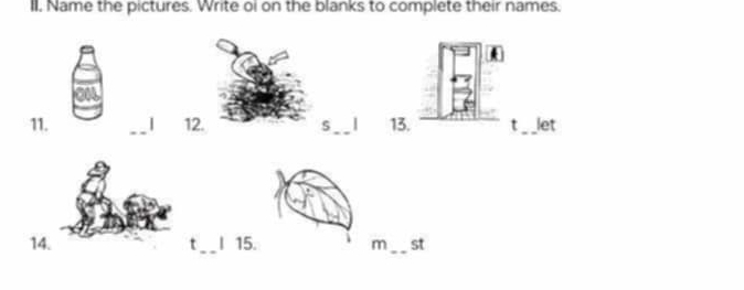 Name the pictures. Write oi on the blanks to complete their names. 
11. _| 12. S_ | 13. t _let 
14. _I 15. i m _st 
t