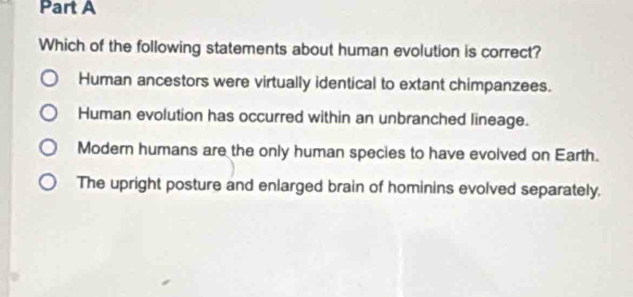 Which of the following statements about human evolution is correct?
Human ancestors were virtually identical to extant chimpanzees.
Human evolution has occurred within an unbranched lineage.
Modern humans are the only human species to have evolved on Earth.
The upright posture and enlarged brain of hominins evolved separately.