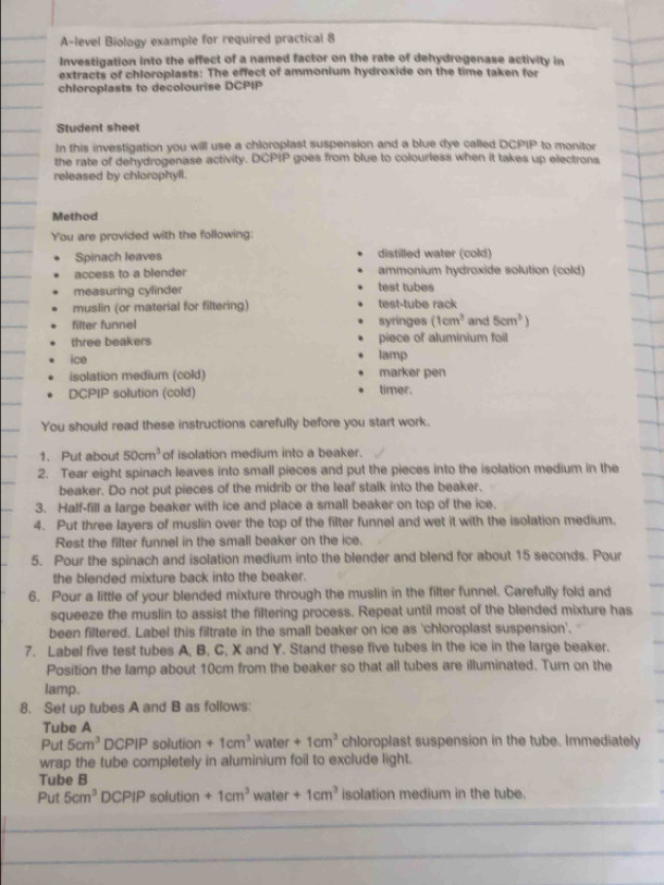 A-level Biology example for required practical 8
Investigation into the effect of a named factor on the rate of dehydrogenase activity in
extracts of chloroplasts: The effect of ammonium hydroxide on the time taken for
chloroplasts to decolourise DCPIP
Student sheet
In this investigation you will use a chloroplast suspension and a blue dye called DCPIP to monitor
the rate of dehydrogenase activity. DCPIP goes from blue to colourless when it takes up electrons
released by chlorophyll.
Method
You are provided with the following:
Spinach leaves distilled water (cold)
access to a blender ammonium hydroxide solution (cold)
measuring cylinder test tubes
muslin (or material for filtering) test-tube rack
filter funnel syringes (1cm^3 and 5cm^3)
three beakers piece of aluminium foil
ice lamp
isolation medium (cold) marker pen
DCPIP solution (cold) timer.
You should read these instructions carefully before you start work.
1. Put about 50cm^3 of isolation medium into a beaker.
2. Tear eight spinach leaves into small pieces and put the pieces into the isolation medium in the
beaker. Do not put pieces of the midrib or the leaf stalk into the beaker.
3. Half-fill a large beaker with ice and place a small beaker on top of the ice.
4. Put three layers of muslin over the top of the filter funnel and wet it with the isolation medium.
Rest the filter funnel in the small beaker on the ice.
5. Pour the spinach and isolation medium into the blender and blend for about 15 seconds. Pour
the blended mixture back into the beaker.
6. Pour a little of your blended mixture through the muslin in the filter funnel. Carefully fold and
squeeze the muslin to assist the filtering process. Repeat until most of the blended mixture has
been filtered. Label this filtrate in the small beaker on ice as 'chloroplast suspension'.
7. Label five test tubes A, B. C, X and Y. Stand these five tubes in the ice in the large beaker.
Position the lamp about 10cm from the beaker so that all tubes are illuminated. Turn on the
lamp.
8. Set up tubes A and B as follows:
Tube A
Put 5cm^3 DCPIP solution +1cm^3 water +1cm^3 chloroplast suspension in the tube. Immediately
wrap the tube completely in aluminium foil to exclude light.
Tube B
Put 5cm^3 DCPIP solution +1cm^3 w ter+1cm^3 isolation medium in the tube.