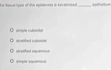 he tissue type of the epidermis is keratinized ._ epithelium.
simple cuboldal
stratified cuboidal
stratified squamous
simple squamous