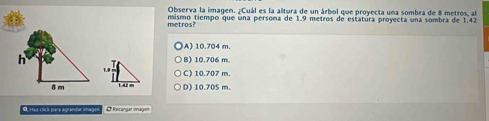 Observa la imagen. ¿Cuál es la altura de un árbol que proyecta una sombra de 8 metros, al
mismo tiempo que una persona de 1.9 metros de estatura proyecta una sombra de 1.42
metros?
A) 10.704 m.
h B) 10.706 m.
1.9 m C) 10.707 m.
8 m 1.42 m D) 10.705 m.
Q Haz click para agrandar imagen Recargar imagen