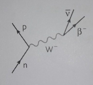 overline V
P
D - 
C
W
n