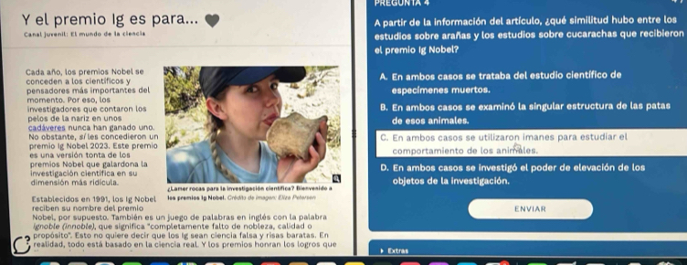 PREGUNTA
Y el premio Ig es para... A partir de la información del artículo, ¿qué similitud hubo entre los
Canal juvenil: El mundo de la ciencia estudios sobre arañas y los estudios sobre cucarachas que recibieron
el premio Ig Nobel?
Cada año, los premios Nobel se A. En ambos casos se trataba del estudio científico de
conceden a los científicos y
pensadores más importantes delespecímenes muertos.
momento. Por eso, los
investigadores que contaron los B. En ambos casos se examinó la singular estructura de las patas
pelos de la nariz en unos
cadáveres nunca han ganado unode esos animales.
No obstante, síles concedieron u
premio Ig Nobel 2023. Este premiC. En ambos casos se utilizaron imanes para estudiar el
es una versión tonta de loscomportamiento de los animales.
premios Nobel que galardona laD. En ambos casos se investigó el poder de elevación de los
investigación cientifica en su
dimensión más ridícula. Lamer rocas para la investiga a objetos de la investigación.
Establecidos en 1991, los Ig Nobel les premios 1g Nobel. Crédito de imagen: Eliza Peforsen
reciben su nombre del premio ENVIAR
Nobel, por supuesto. También es un juego de palabras en inglés con la palabra
(gnoble (innoble), que signífica "completamente falto de nobleza, calidad o
propósito''. Esto no quiere decir que los Ig sean ciencia falsa y risas baratas. En
realidad, todo está basado en la ciencia real. Y los premios honran los logros que * Extras