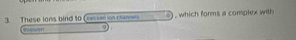 These ions bind to (catcium ion channers , which forms a complex with 
tropurin 
0