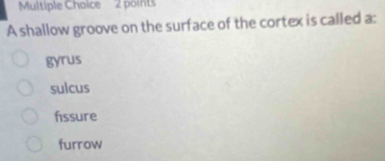 A shallow groove on the surface of the cortex is called a:
gyrus
sulcus
fssure
furrow