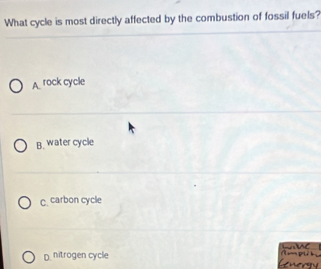 What cycle is most directly affected by the combustion of fossil fuels?
A. rock cycle
B. water cycle
C.carbon cycle
D nitrogen cycle