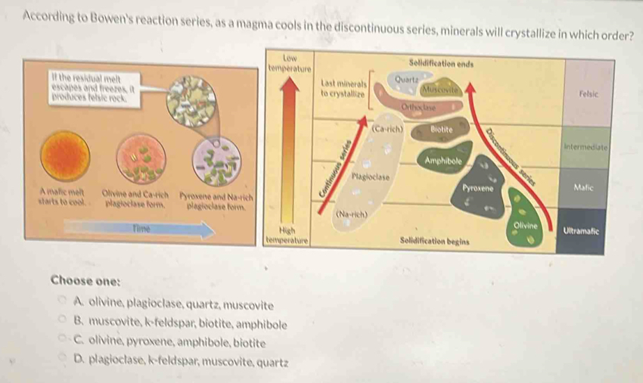 According to Bowen's reaction series, as a magma cools in the discontinuous series, minerals will crystallize in which order?
Choose one:
A. olivine, plagioclase, quartz, muscovite
B. muscovite, k-feldspar, biotite, amphibole
C. olivine, pyroxene, amphibole, biotite
D. plagioclase, k-feldspar, muscovite, quartz