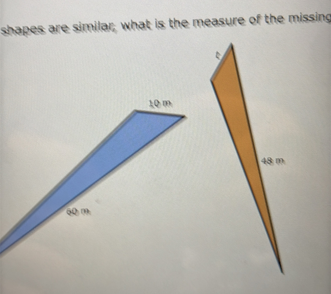 shapes are similar, what is the measure of the missing