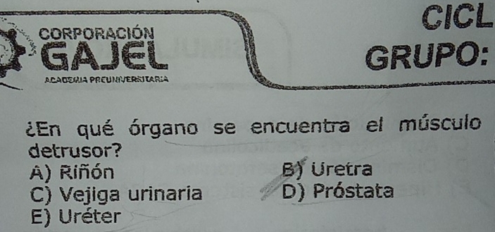 Corporación
CICL
GAJEL GRUPO:
ACAdemia PREUNVERSItAría
¿En qué órgano se encuentra el músculo
detrusor?
A) Riñón B) Üretra
C) Vejiga urinaria D) Próstata
E) Uréter