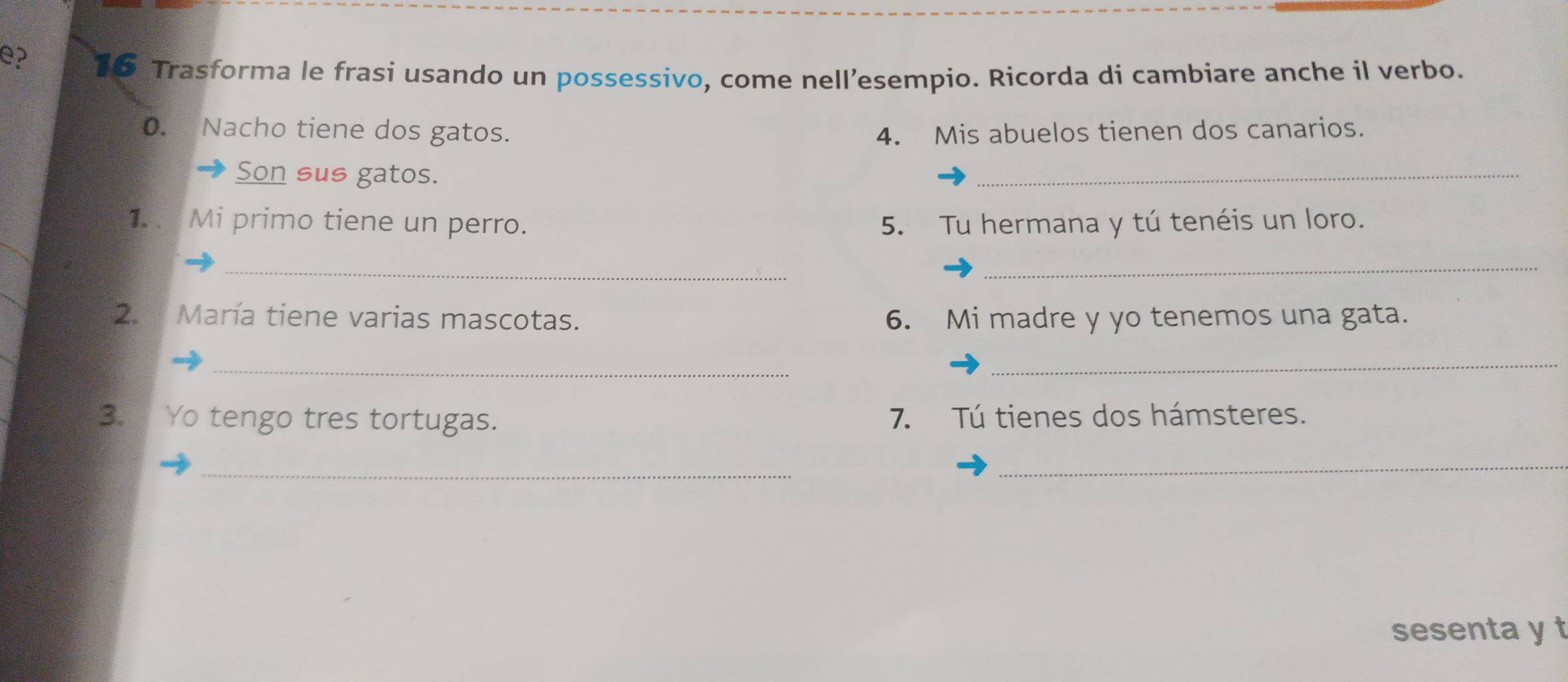 Trasforma le frasi usando un possessivo, come nell’esempio. Ricorda di cambiare anche il verbo. 
0. Nacho tiene dos gatos. 4. Mis abuelos tienen dos canarios. 
Son sus gatos. 
_ 
1. Mi primo tiene un perro. 5. Tu hermana y tú tenéis un loro. 
_ 
_ 
2. María tiene varias mascotas. 6. Mi madre y yo tenemos una gata. 
_ 
_ 
3. Yo tengo tres tortugas. 7. Tú tienes dos hámsteres. 
_ 
_ 
sesenta y t