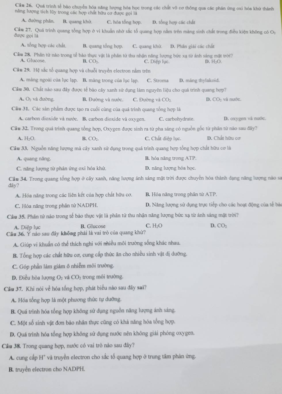 Quá trình tế bào chuyển hóa năng lượng hóa học trong các chất vô cơ thông qua các phản ứng oxi hóa khử thành
năng lượng tích lũy trong các hợp chất hữu cơ được gọi là
A. đường phân. B. quang khử. C. hóa tổng hợp. D. tổng hợp các chất
Câu 27. Quá trình quang tổng hợp ở vi khuẩn nhờ sắc tố quang hợp nằm trên màng sinh chất trong điều kiện không có O_2
được gọi là
A. tổng hợp các chất. B. quang tổng hợp. C. quang khử. D. Phân giải các chất
Câu 28. Phân tử nào trong tế bào thực vật là phân từ thu nhận năng lượng bức xạ từ ánh sáng mật trời?
A. Glucose. B. CO_2. C. Diệp lục. D. H_2O.
Câu 29. Hệ sắc tố quang hợp và chuỗi truyền electron nằm trên
A. màng ngoài của lục lạp. B. màng trong của lục lạp. C. Stroma D. màng thylakoid.
Câu 30. Chất nào sau đây được tế bào cây xanh sử dụng làm nguyên liệu cho quá trình quang hợp?
A. O₂ và đường. B. Đường và nước. C. Đường và CO_2 D. CO_2 và nước.
Câu 31. Các sản phẩm được tạo ra cuối cùng của quá trình quang tổng hợp là
A. carbon dioxide và nước. B. carbon dioxide và oxygen. C. carbohydrate. D. oxygen và nước.
Câu 32. Trong quá trình quang tổng hợp, Oxygen được sinh ra từ pha sáng có nguồn gốc từ phân tử nào sau đây?
A. H_2O. B. CO_2. C. Chất diệp lục. D. Chất hữu cơ
Câu 33. Nguồn năng lượng mà cây xanh sử dụng trong quá trình quang hợp tổng hợp chất hữu cơ là
A. quang năng. B. hóa năng trong ATP.
C. năng lượng từ phản ứng oxi hóa khử. D. năng lượng hóa học.
Câu 34. Trong quang tổng hợp ở cây xanh, năng lượng ánh sáng mặt trời được chuyển hóa thành dạng năng lượng nào sa
đây?
A. Hóa năng trong các liên kết của hợp chất hữu cơ. B. Hóa năng trong phân tử ATP.
C. Hóa năng trong phân tử NADPH. D. Năng lượng sử dụng trực tiếp cho các hoạt động của tế bảo
Câu 35. Phân tử nào trong tế bào thực vật là phân tử thu nhận năng lượng bức xạ từ ánh sáng mặt trời?
A. Diệp lục B. Glucose C. H_2O D. CO_2
Câu 36, Ý nào sau đây không phải là vai trò của quang khử?
A. Giúp vi khuẩn có thể thích nghi với nhiều môi trường sống khác nhau.
B. Tổng hợp các chất hữu cơ, cung cấp thức ăn cho nhiều sinh vật dị dưỡng.
C. Góp phần làm giảm ô nhiễm môi trường.
D. Điều hòa lượng O_2 và CO_2 trong môi trường.
Câu 37. Khi nói về hóa tổng hợp, phát biểu nào sau đây sai?
A. Hóa tổng hợp là một phương thức tự dưỡng.
B. Quá trình hóa tổng hợp không sử dụng nguồn năng lượng ánh sáng.
C. Một số sinh vật đơn bào nhân thực cũng có khả năng hóa tổng hợp.
D. Quá trình hóa tổng hợp không sử dụng nước nên không giải phóng oxygen.
Câu 38. Trong quang hợp, nước có vai trò nào sau đây?
A. cung cấp H^+ và truyền electron cho sắc tổ quang hợp ở trung tâm phản ứng.
B. truyền electron cho NADPH.