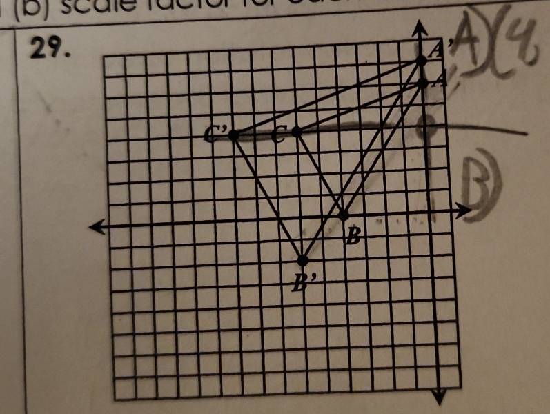 scale fắc
29.