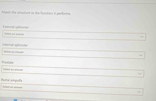 Solved: Match the structure to the function it performs. External ...